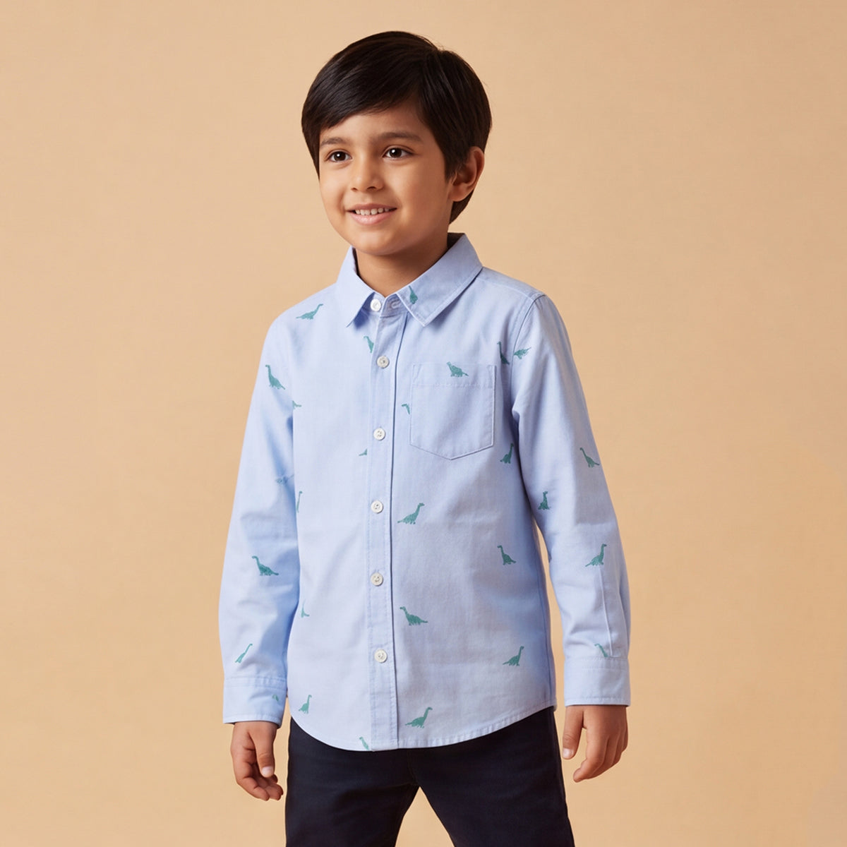 Boys Blue Dinosaur Graphics Long Sleeve Shirt