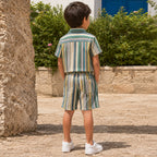 Boys Multicolor Short Sleeve Shirt With Shorts Co-ord Set