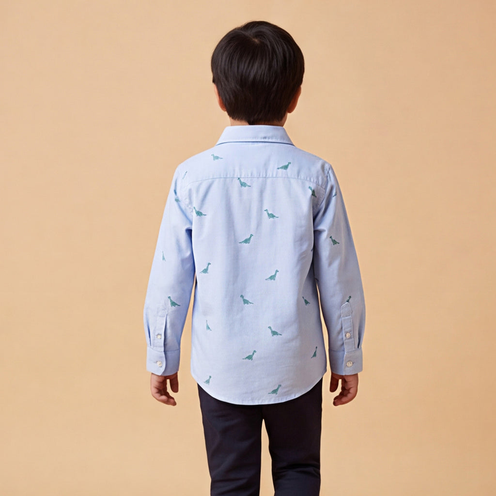 Boys Blue Dinosaur Graphics Long Sleeve Shirt