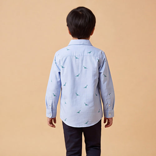 Boys Blue Dinosaur Graphics Long Sleeve Shirt