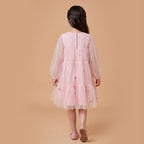 Girls Pink Long Sleeve Embroidered Layered Dress