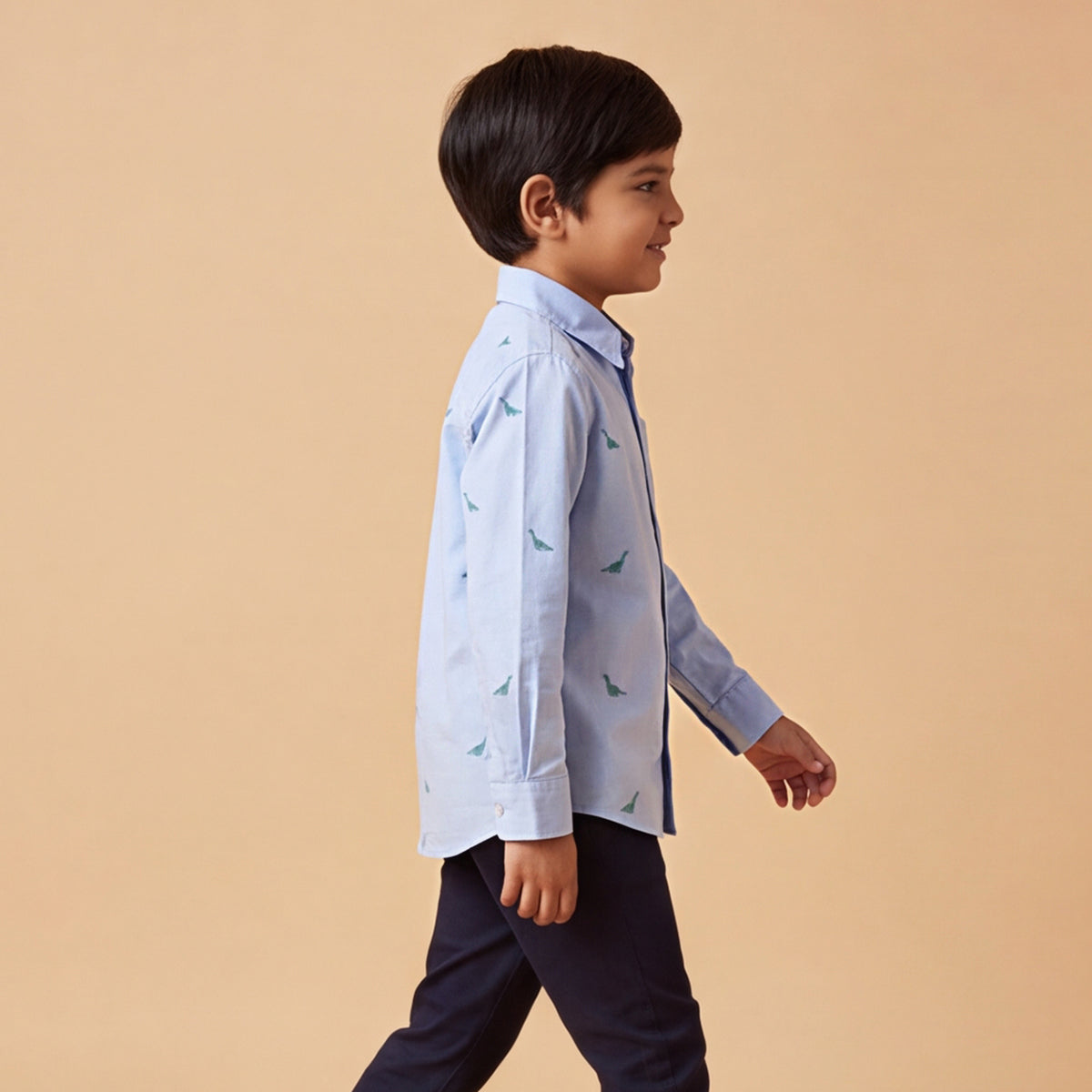 Boys Blue Dinosaur Graphics Long Sleeve Shirt