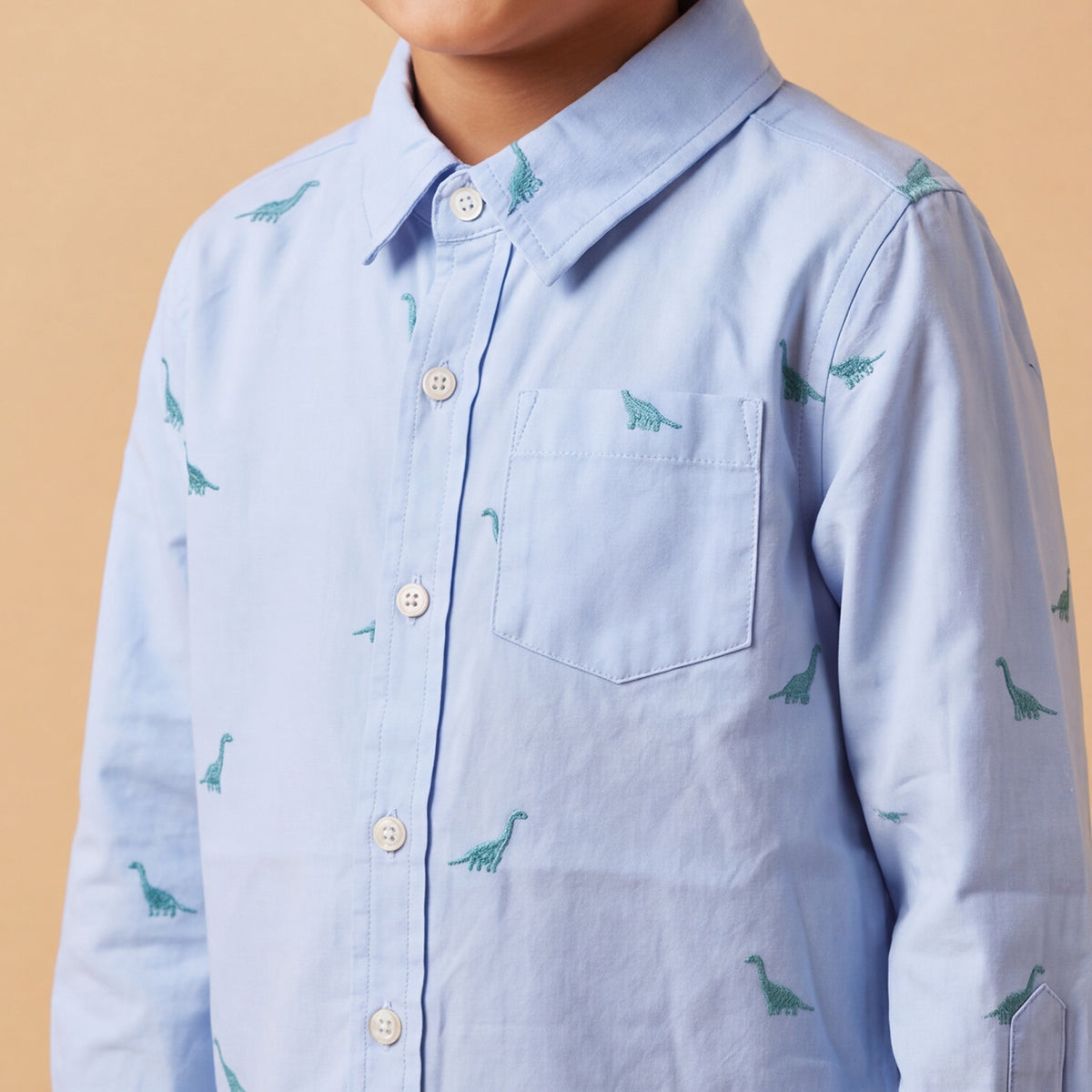 Boys Blue Dinosaur Graphics Long Sleeve Shirt